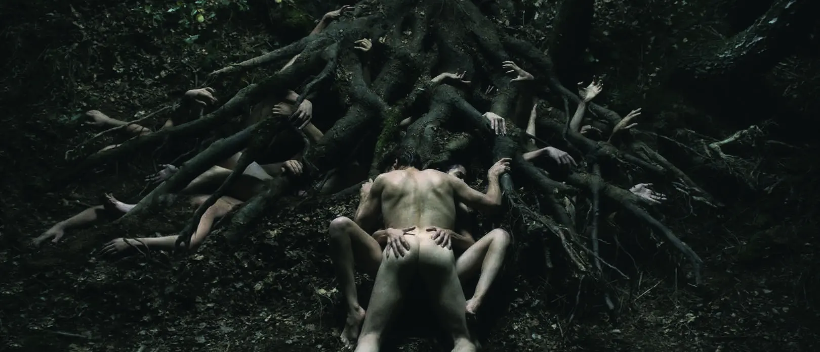 The Nature Within from Antichrist