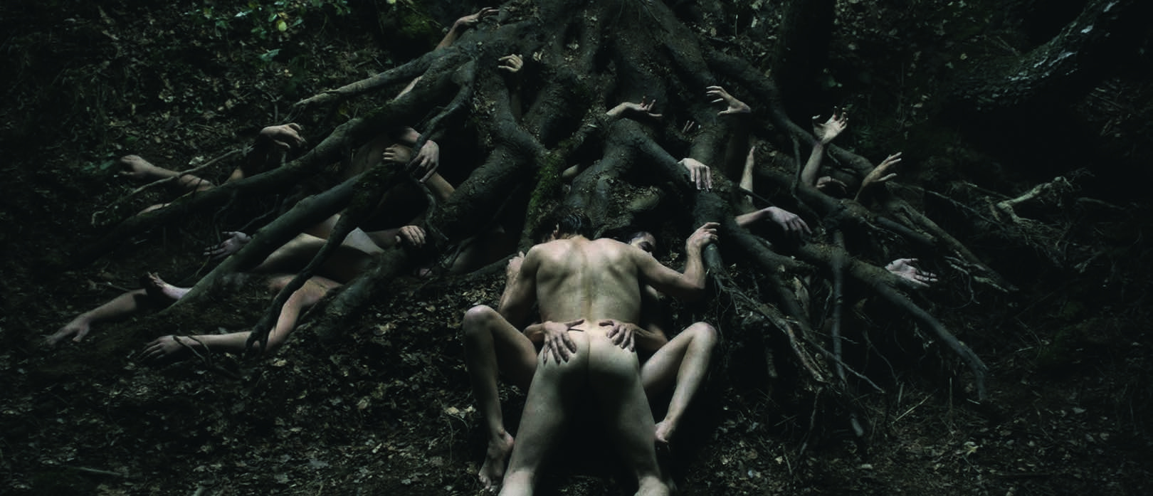 The Nature Within